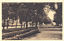 0071a.jpg: Schwiebus i. Bdbg. Buchenallee mit Postamt u. Kriegerdenkmal 1914/1918 No.6467
